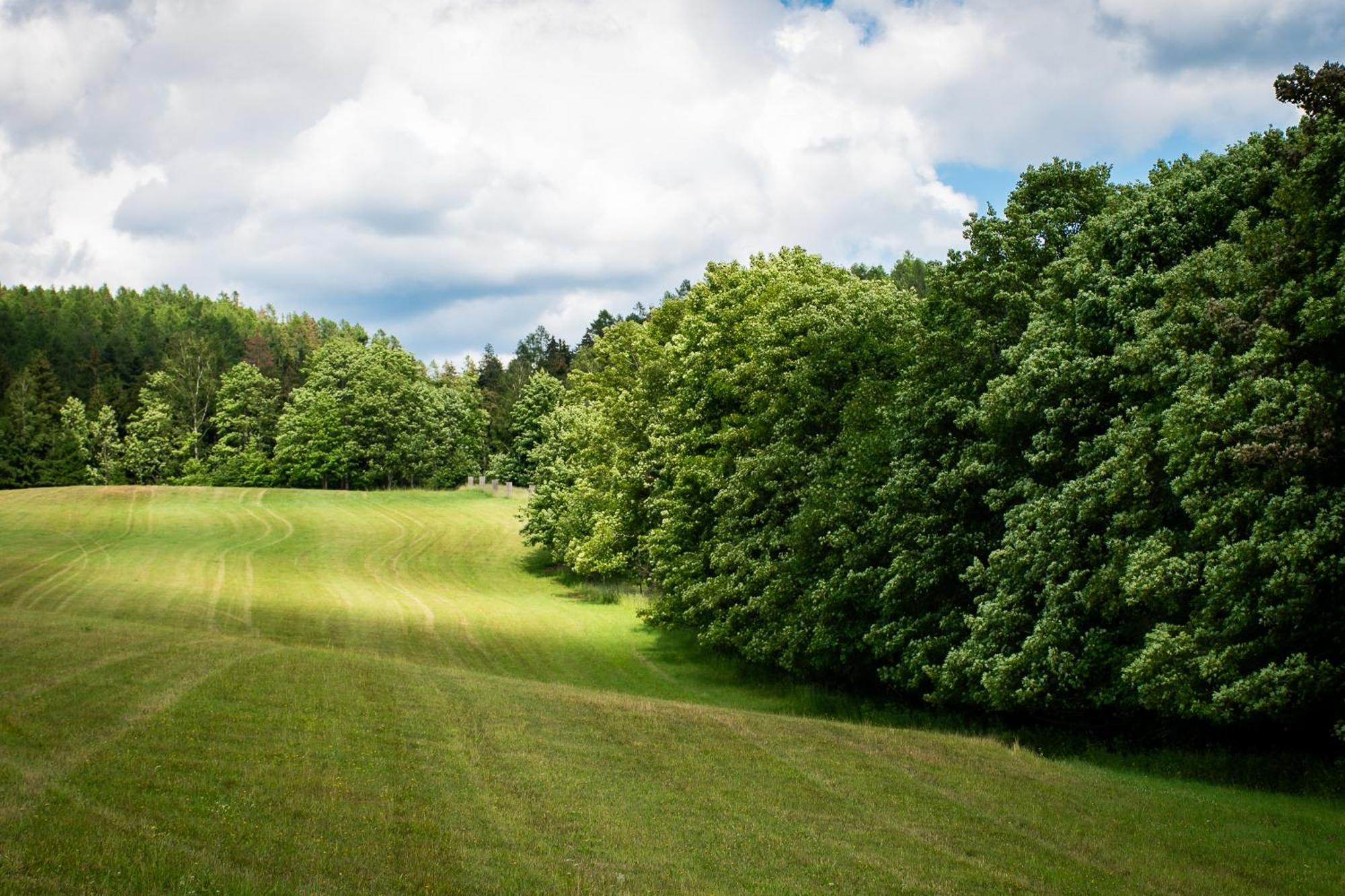 Penzion U Skoly Stare Mesto  Exterior photo